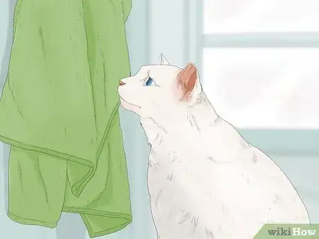 Image titled Introduce a Cat to a New Home Step 15