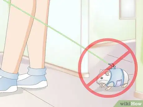 Image titled Walk Your Hamster Step 5