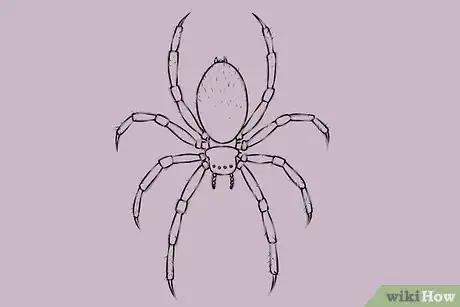 Image titled Draw a Spider Step 17