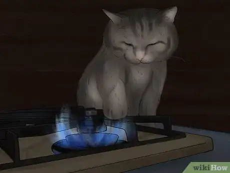 Image titled Treat Burns on a Cat Step 13