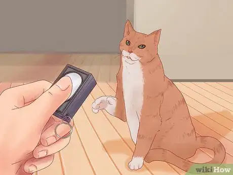 Image titled Get Your Cat to Come Inside Step 9