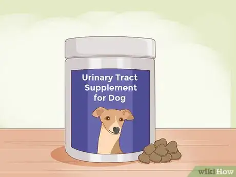 Image titled Prevent Kidney Stones in Dogs Step 8