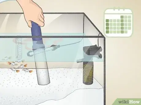 Image titled Do a Water Change in a Freshwater Aquarium Step 13