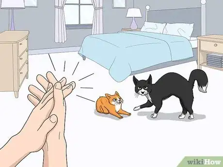 Image titled Introduce a Kitten to an Older Cat Step 7