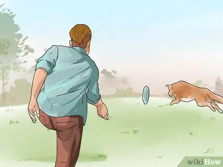 Image titled Teach Your Dog to Focus Step 15