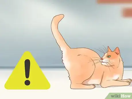 Image titled Stop Your Cat from Attacking Your Dog Step 10