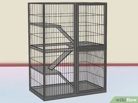 Image titled Play with Your Pet Chinchilla Step 1