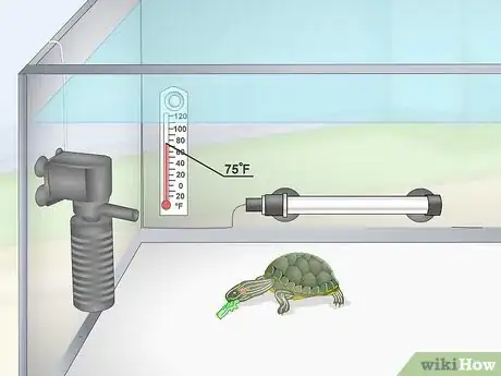 Image titled Feed a Red‐Eared Slider Turtle Step 11