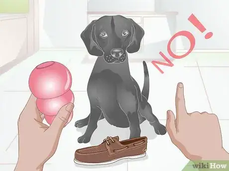 Image titled Deter a Dog from Misbehaving Using a Water Gun Step 8