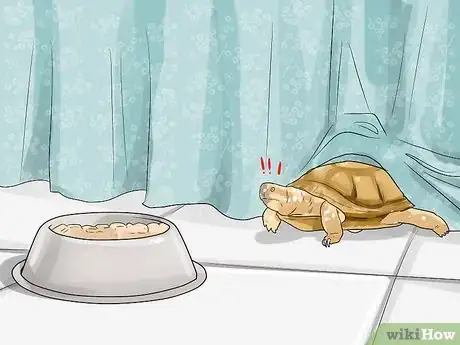 Image titled Find a Turtle Step 10