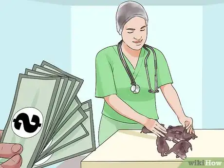 Image titled Take Newborn Puppies for Their First Vet Checkup Step 1