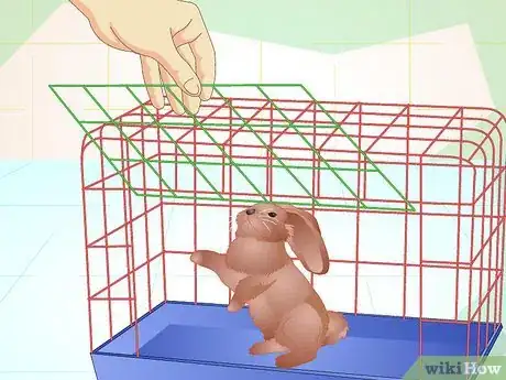 Image titled Make Your Bunny Come to You when You Open the Cage Step 4