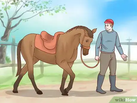 Image titled Teach a Horse to Bow Step 1