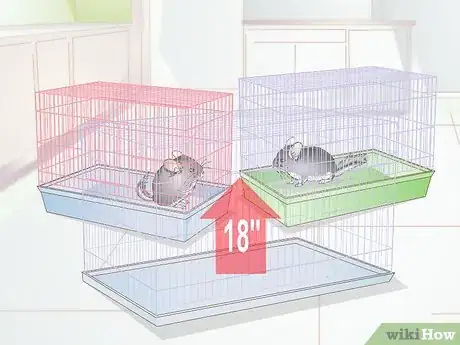 Image titled Breed Chinchillas Step 6