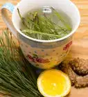 Make Pine Needle Tea