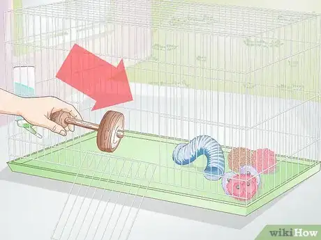 Image titled Exercise Your Guinea Pig Step 2
