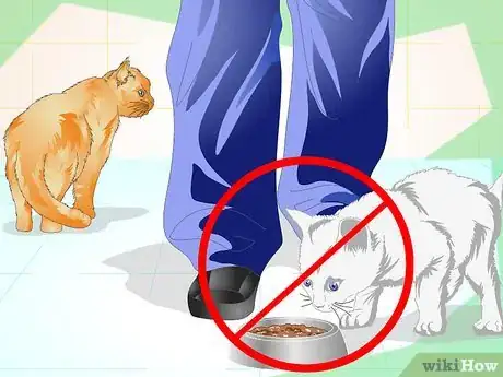 Image titled Prevent a Cat from Spraying Step 4
