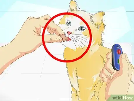 Image titled Clicker Train a Cat Step 11