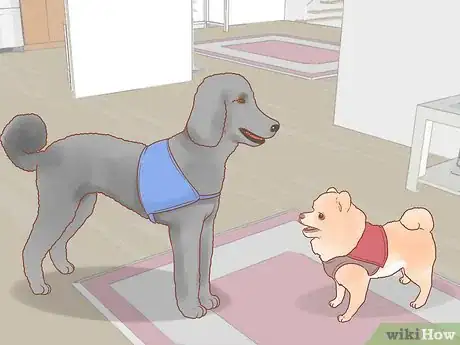 Image titled Get a Service Dog Step 7