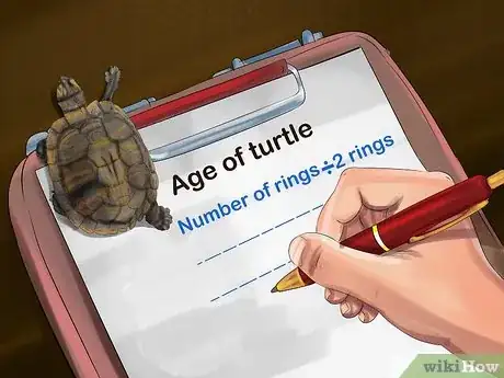 Image titled Tell a Turtle's Age Step 3