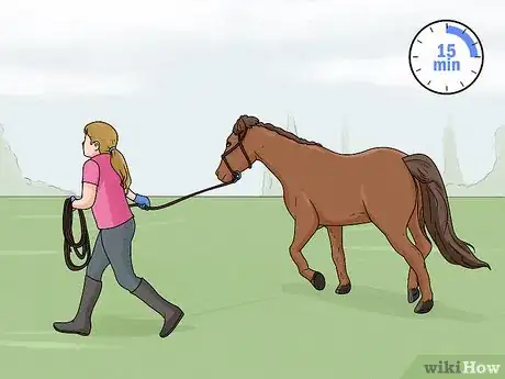 Image titled Lunge a Horse Step 10