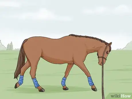 Image titled Lunge a Horse Step 15
