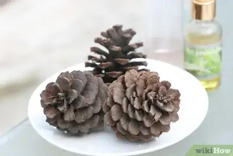 Image titled Make Scented Pine Cones Step 17