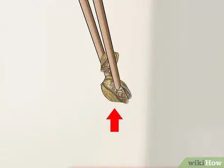 Image titled Keep a Chaco Gold Knee Tarantula Step 7