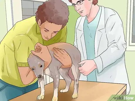 Image titled Treat a Sprain on a Dog Step 7