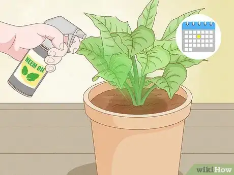 Image titled Why Does Your Plant Soil Have Mold Step 10