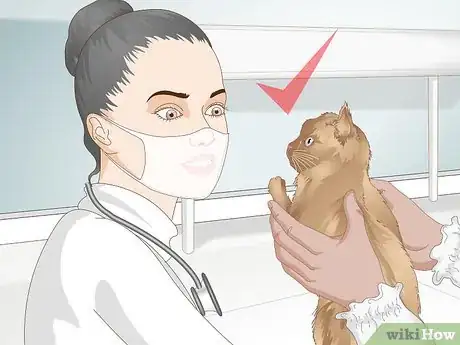 Image titled Get Your Cat to Stop Knocking Things Over Step 12