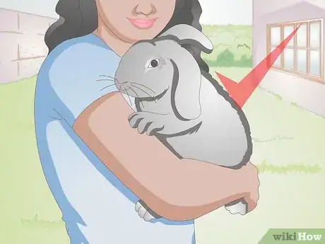 Image titled Hold a Rabbit Step 11