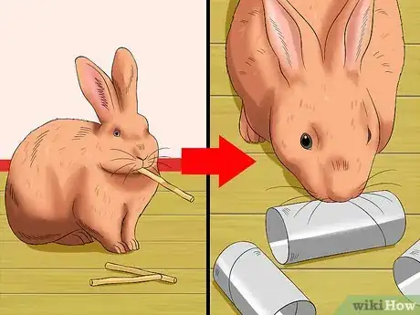 Image titled Train a Rabbit to Stop Chewing Carpet Step 9