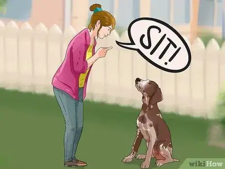 Image titled Train German Shorthaired Pointers Step 1