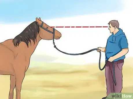 Image titled Discipline a Horse Without Using Aggression Step 3