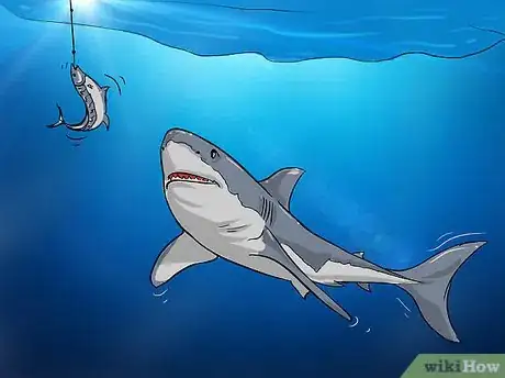 Image titled Fish for Shark Step 8