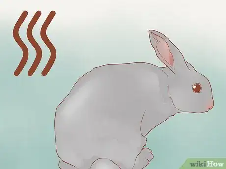 Image titled Stop a Rabbit from Smelling Step 1