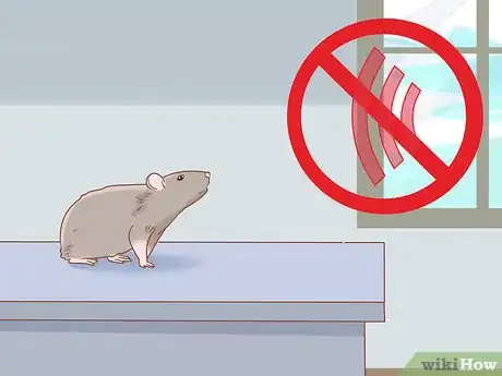 Image titled Teach a Rat Its Name Step 3