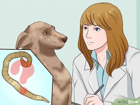 Image titled Identify Different Dog Worms Step 14
