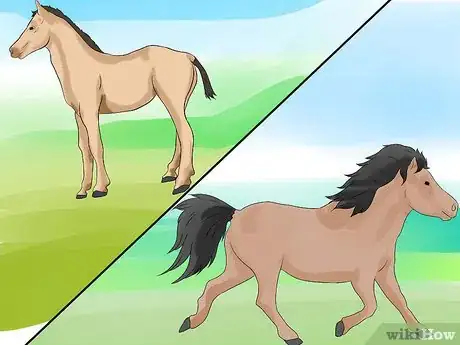 Image titled Tell a Horse from a Pony Step 1