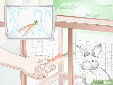 Image titled Keep Your Rabbits Cool on a Sunny Hot Day Step 10
