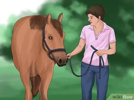 Image titled Care for Your Horse After Riding Step 1