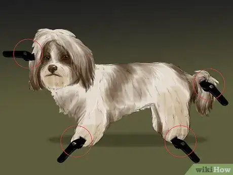 Image titled Puppy Cut a Shih Tzu Step 10