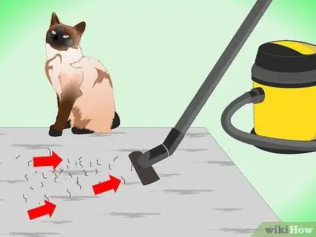Image titled Clean Up Cat Hair Step 1