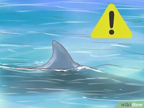 Image titled Spot a Tiger Shark Step 12