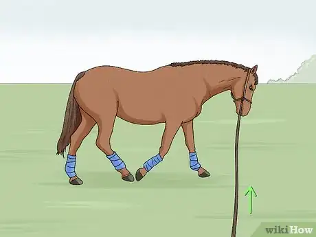 Image titled Lunge a Horse Step 16