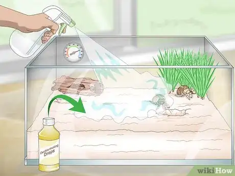 Image titled Maintain Humidity in a Pet Hermit Crab Habitat Step 3