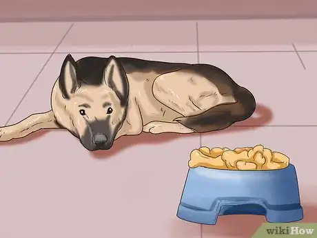 Image titled Know If Your Dog Has Cancer Step 5
