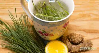 Make Pine Needle Tea