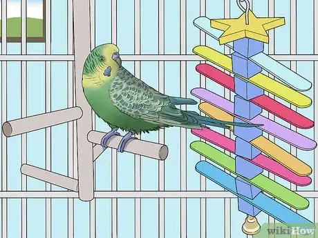 Image titled Amuse Your Parakeet or Other Bird Step 11